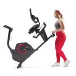 Sunny Health & Fitness Smart Programmable Recumbent Bike SF-RB4850SMART with Electro-Magnetic Resistance - Image 10