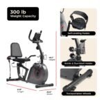Sunny Health & Fitness Smart Recumbent Bike with Resistance Bands – 16 Magnetic Levels, SunnyFit App Compatible - Image 6